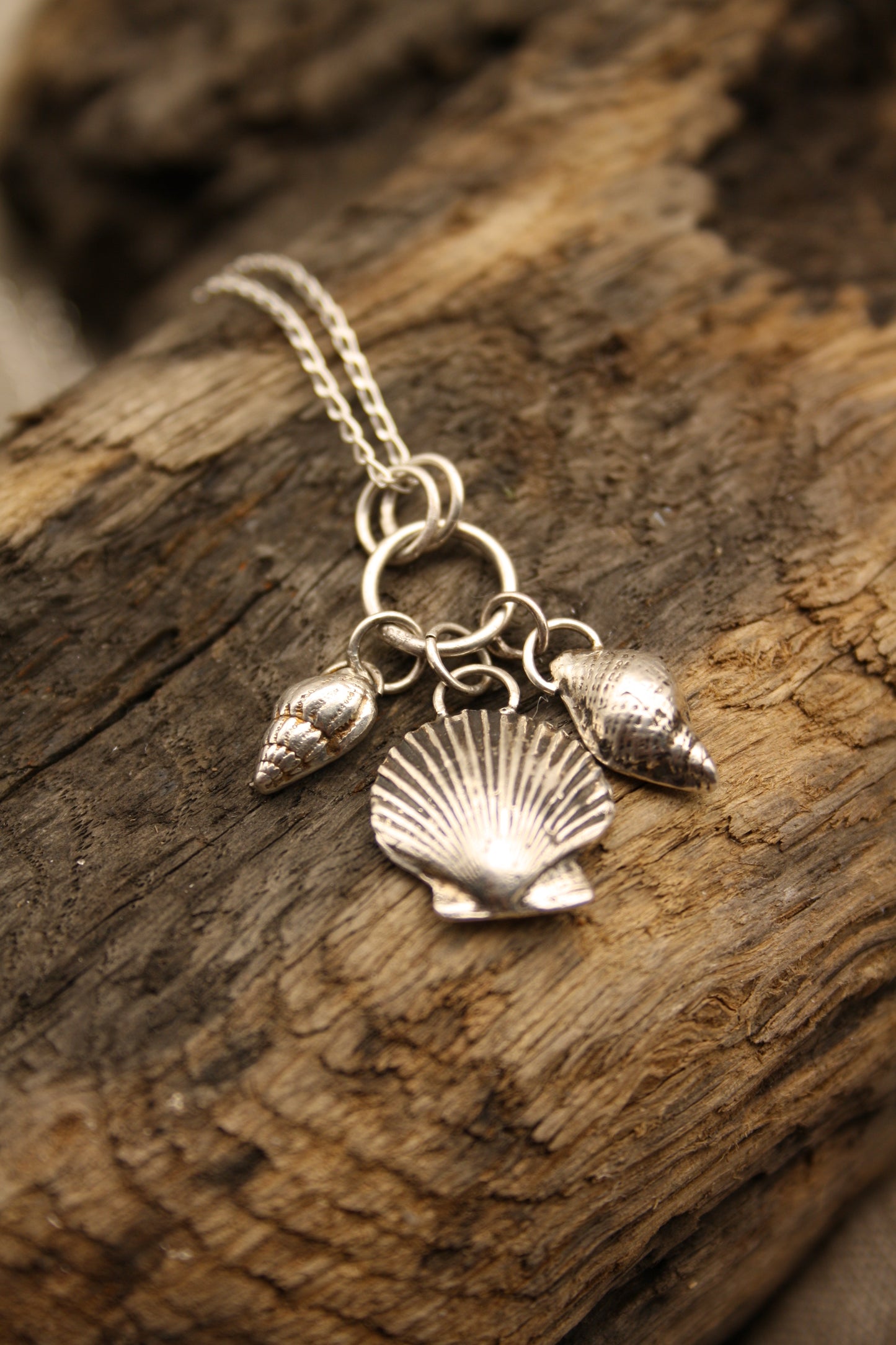 Triple Sea Shell Charm Necklace